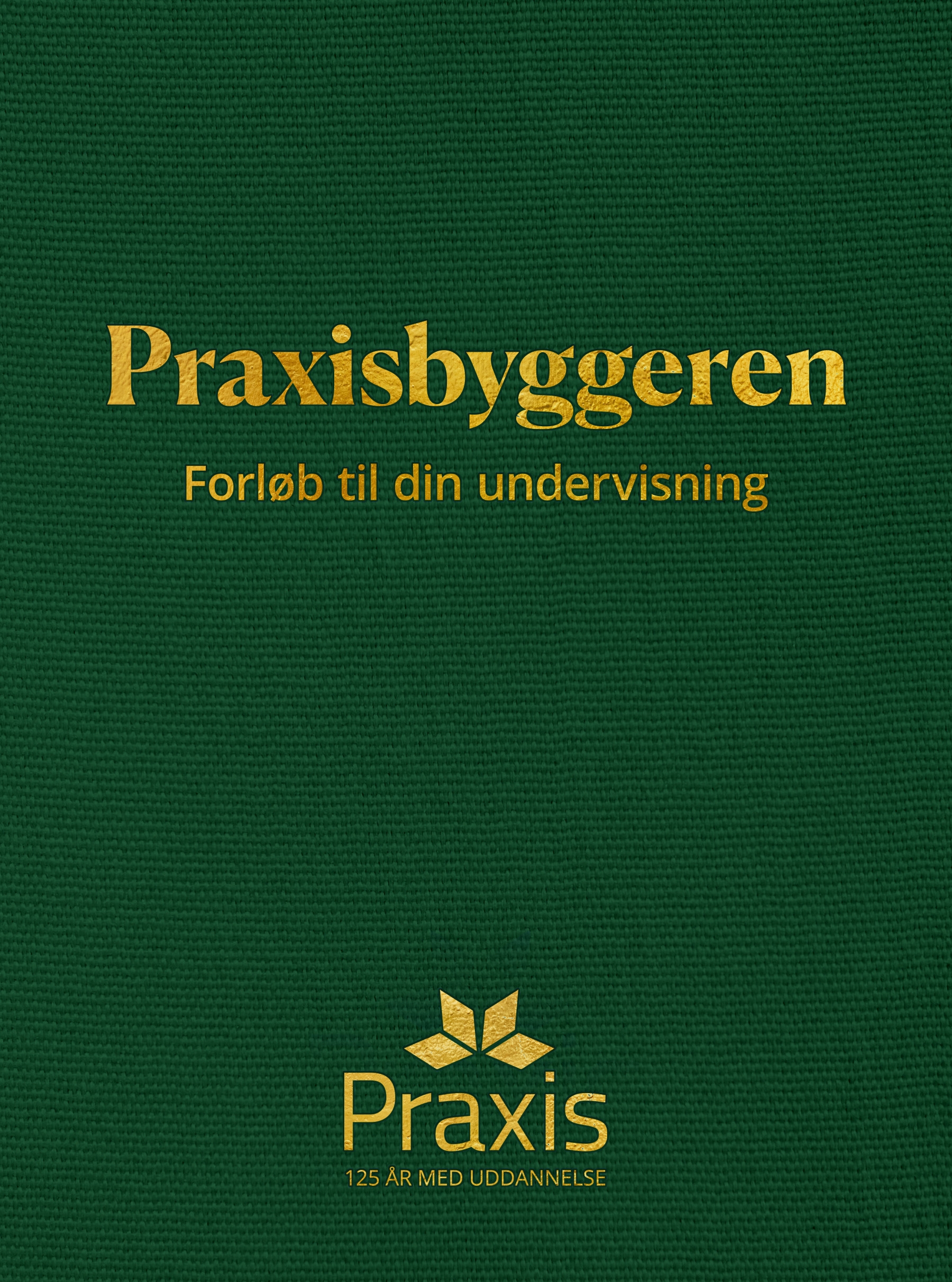 Praxisbyggeren
