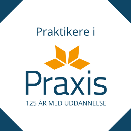 Praktikere i Praxis