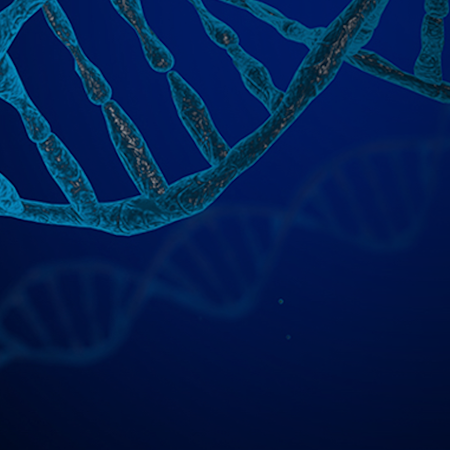 Hvad kan DNA'et fortælle?