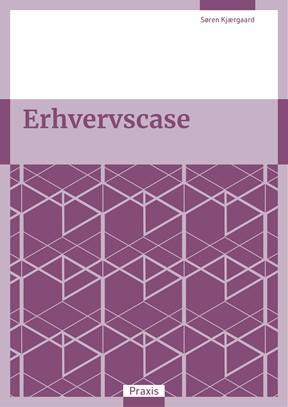 Erhvervscase